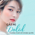CẮT MÍ DOLID – PHƯƠNG PHÁP CẮT MÍ ĐỘC QUYỀN JK NHẬT HÀN