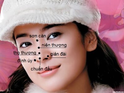 Tướng mũi và tính cách có ảnh hưởng như thế nào trong nhân tướng học
