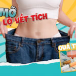Hút mỡ không phẫu thuật Lipo PAL-Extra