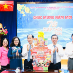 Ngành y tế TPHCM nâng cao quản lý chất lượng bệnh viện gắn với hoạt động kích cầu, phát triển
