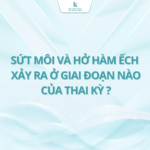 Dị tật bẩm sinh sứt môi và hở hàm ếch xảy ra ở giai đoạn nào của thai kỳ?